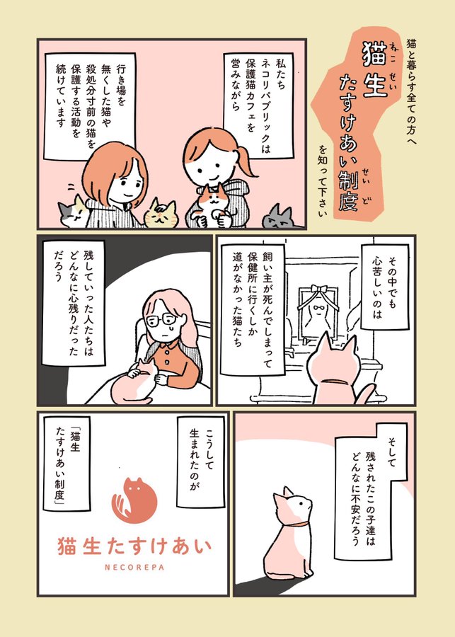 ネコリパブリック「安心ねこ生活 猫生たすけあい制度」とコラボさせていただきました