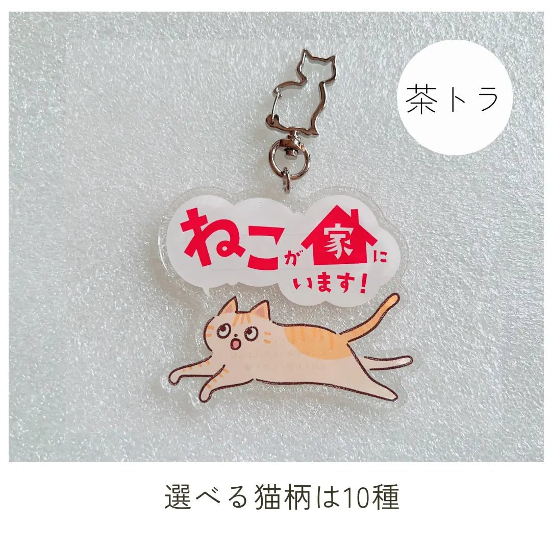 【全10種】家ねこキーホルダー | 連絡先が書ける SOSキーホルダー | 迷子・緊急時に愛猫を守るお守りグッズ - もしもshop Helmo
