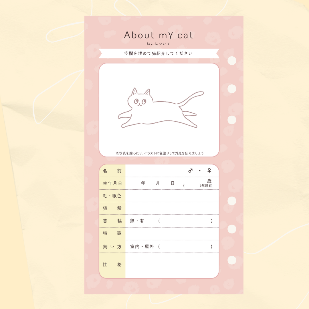 追加オプション:追加ねこパック(1匹分)