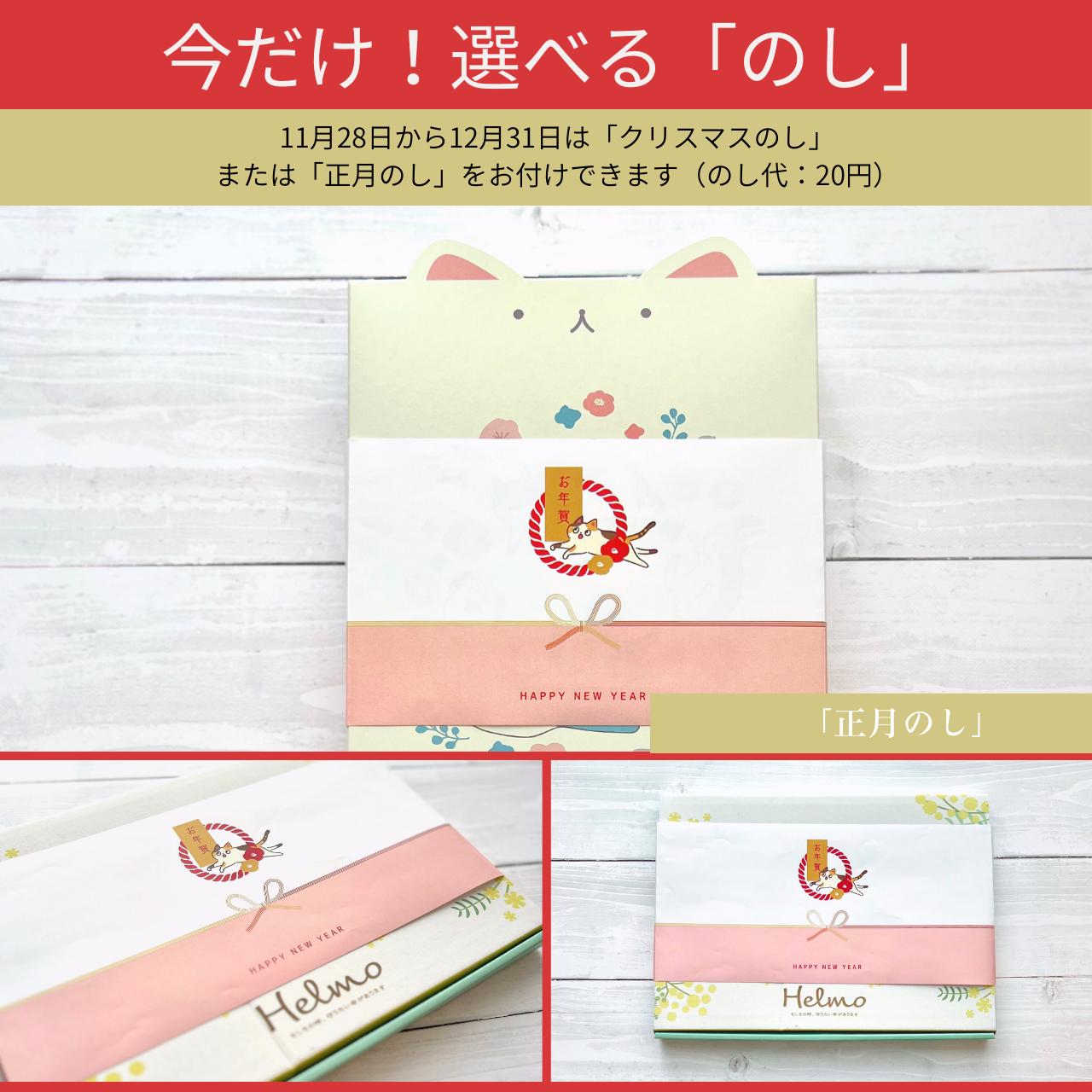 ねこヘルプ手帳:水色(バインダー式)|猫の通院・体調管理が一冊で|猫の健康管理手帳 もしもshop Helmo