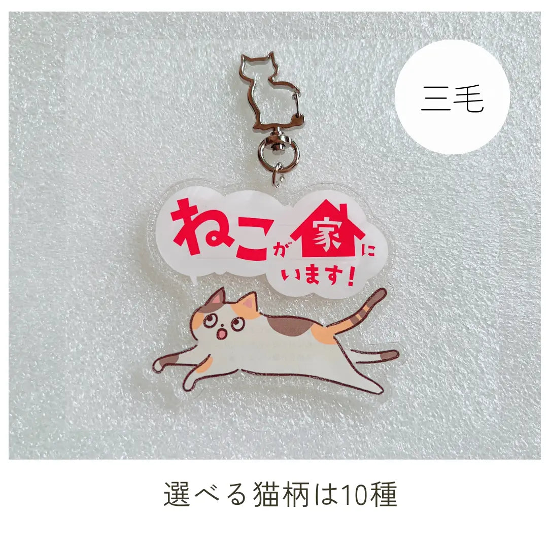 【全10種】家ねこキーホルダー | 連絡先が書ける SOSキーホルダー | 迷子・緊急時に愛猫を守るお守りグッズ Helmo