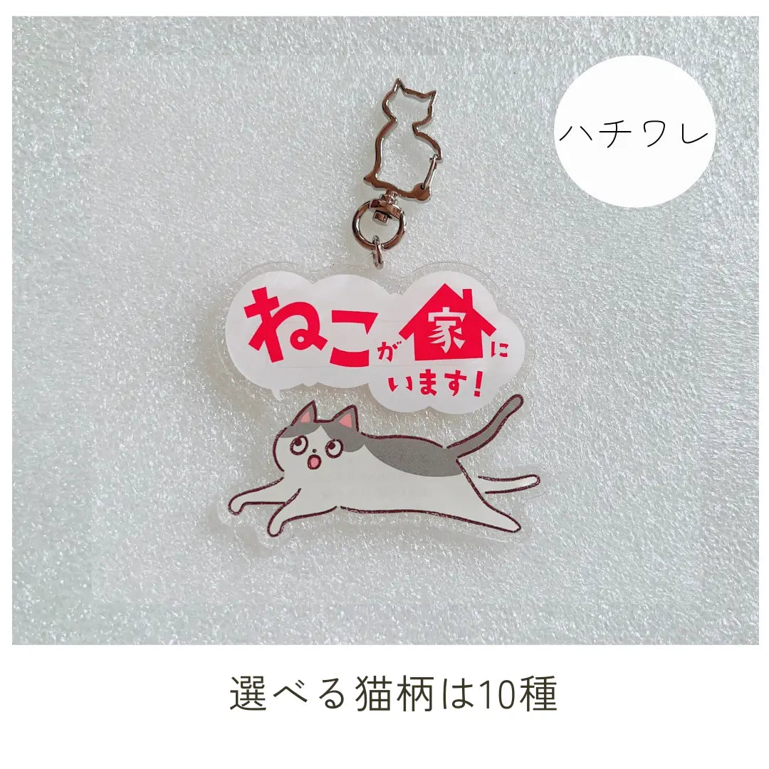 【全10種】家ねこキーホルダー | 連絡先が書ける SOSキーホルダー | 迷子・緊急時に愛猫を守るお守りグッズ Helmo