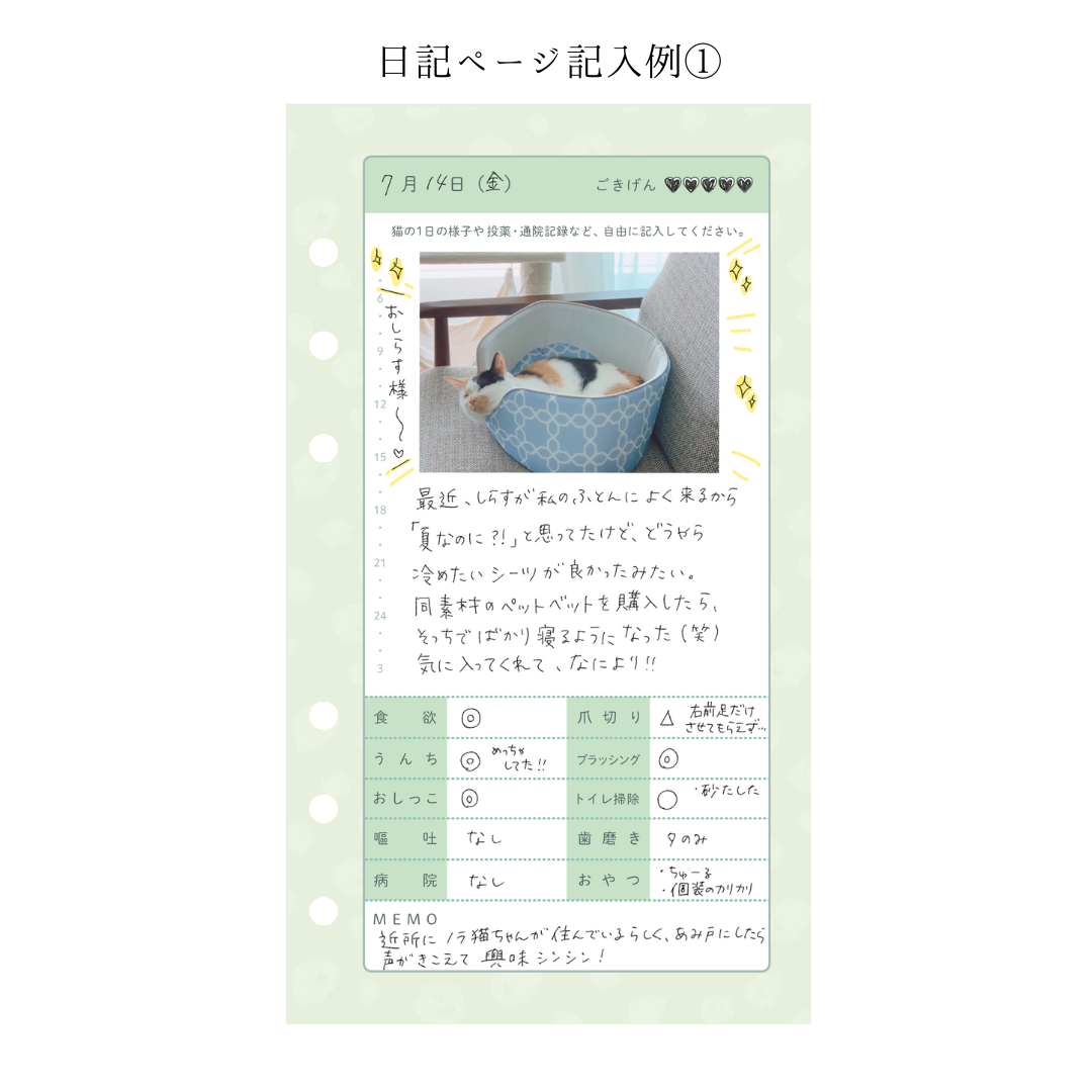 追加オプション:猫日記ページ1ヶ月分