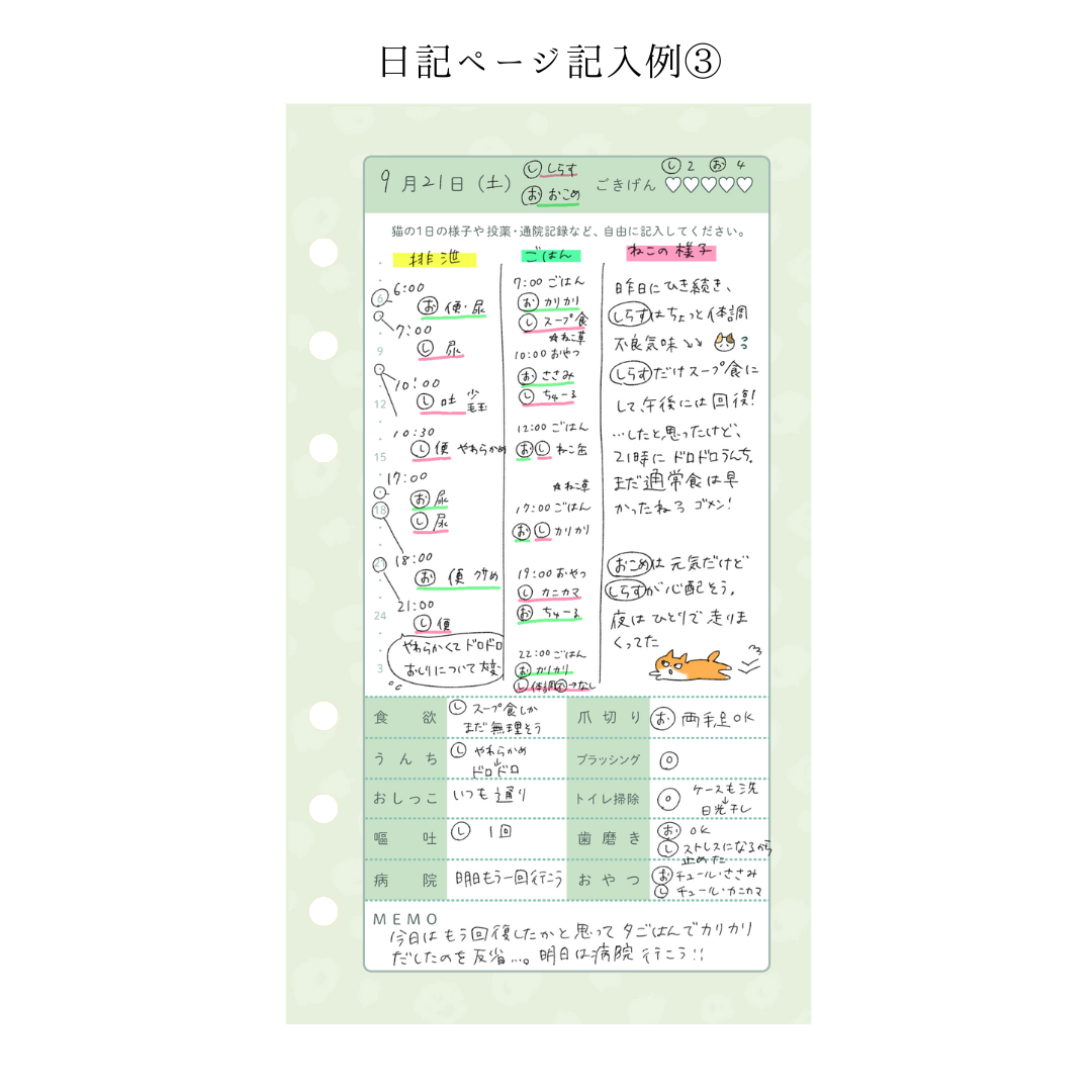 追加オプション:猫日記ページ1ヶ月分