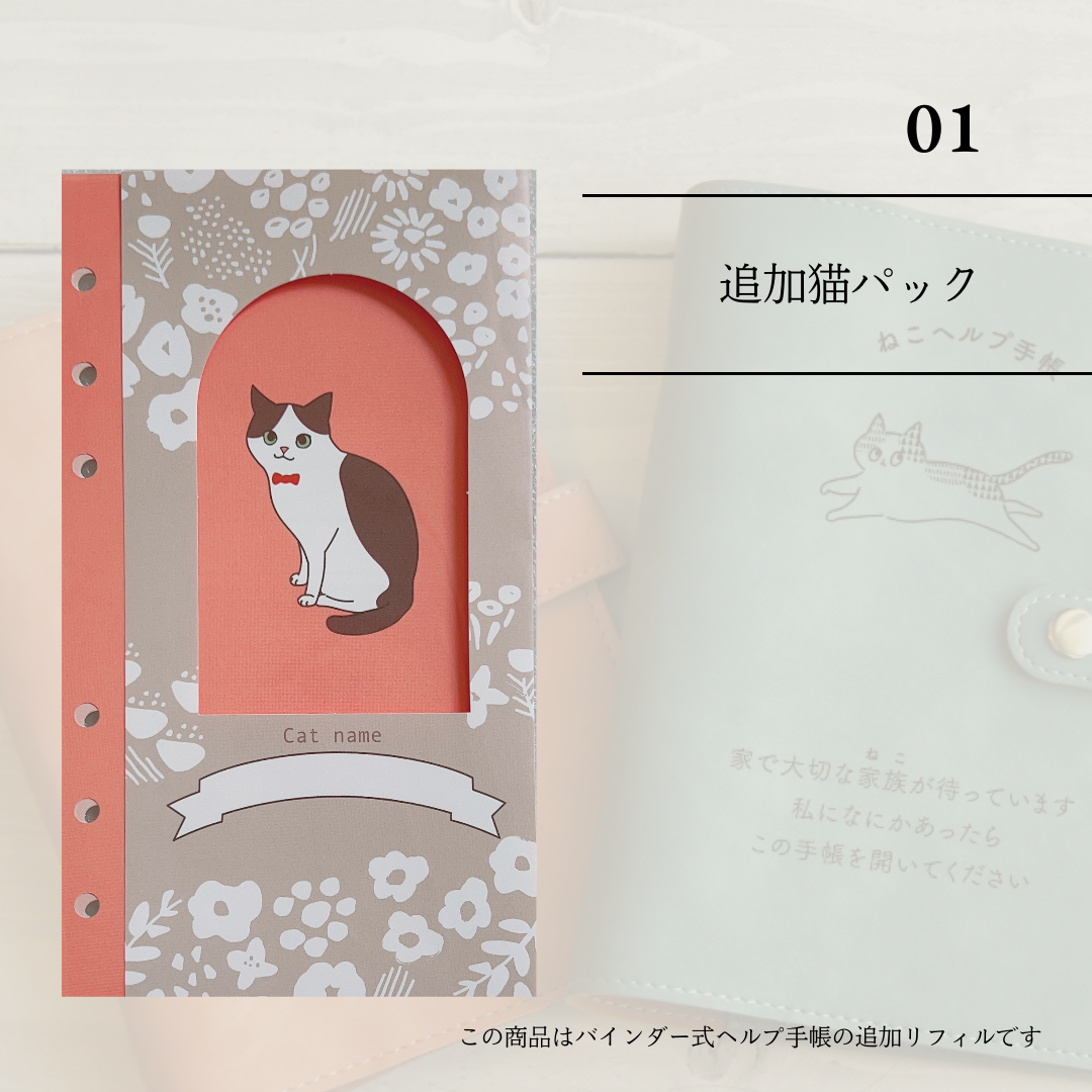 追加オプション:追加ねこパック(1匹分)