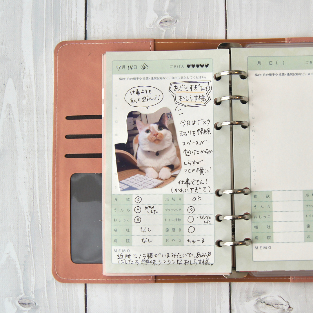 【2匹用セット】バインダー式ねこヘルプ手帳 (水色)