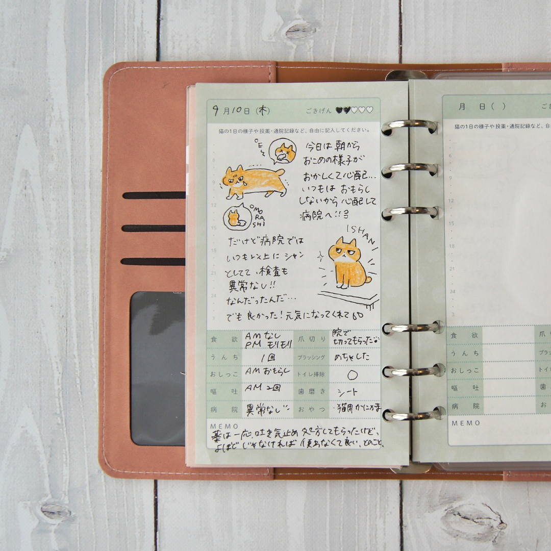 【2匹用セット】バインダー式ねこヘルプ手帳 (水色)