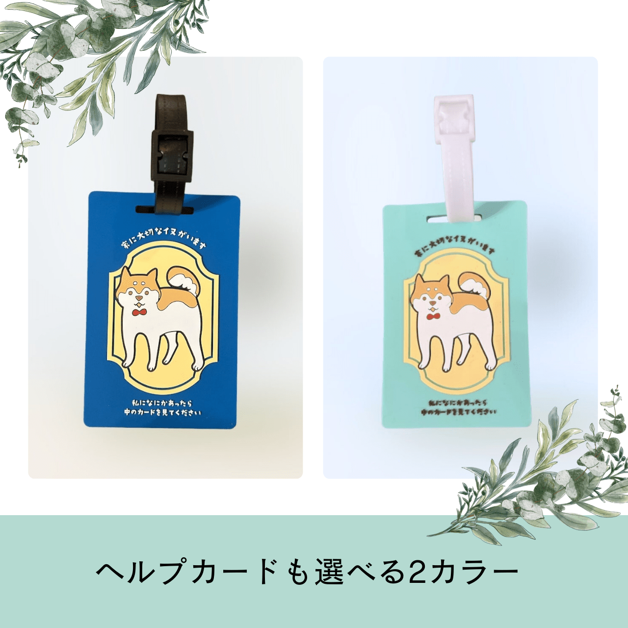 いぬとの暮らし安心BOX|ギフトにもおすすめ!大切な犬のための準備セット - もしもshop Helmo