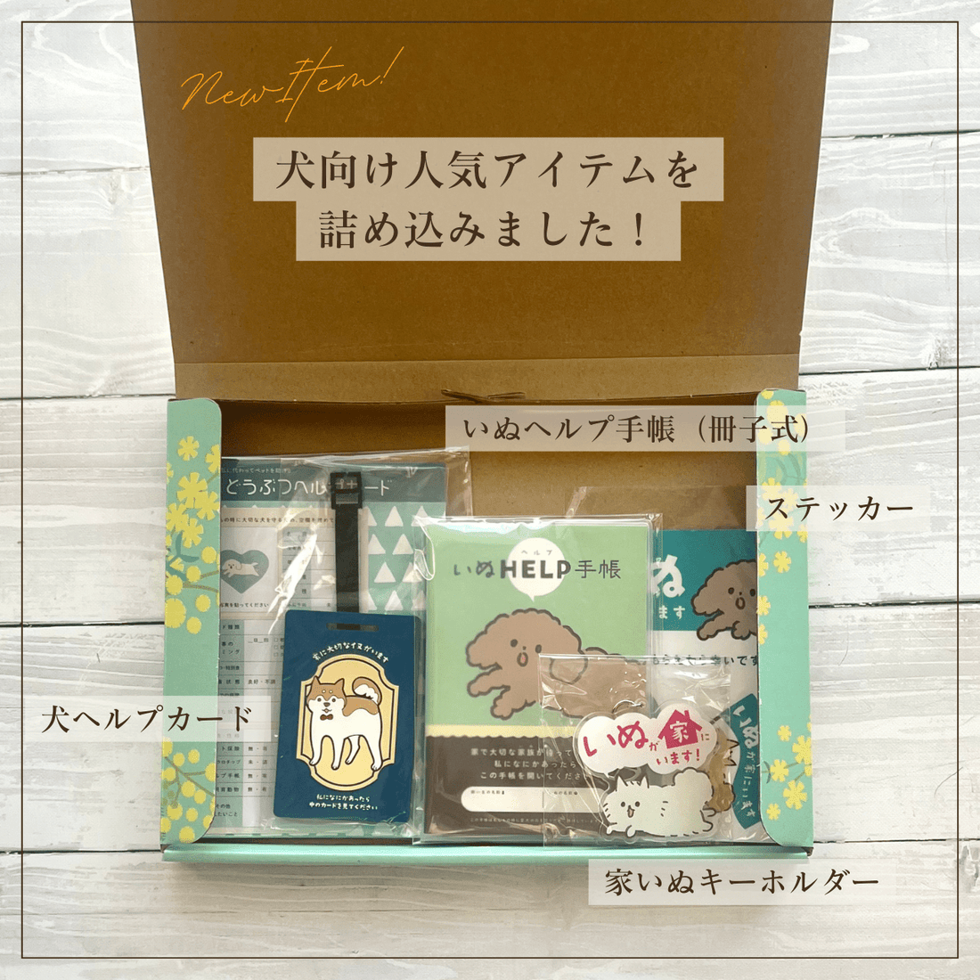 いぬとの暮らし安心BOX|ギフトにもおすすめ!大切な犬のための準備セット - もしもshop Helmo