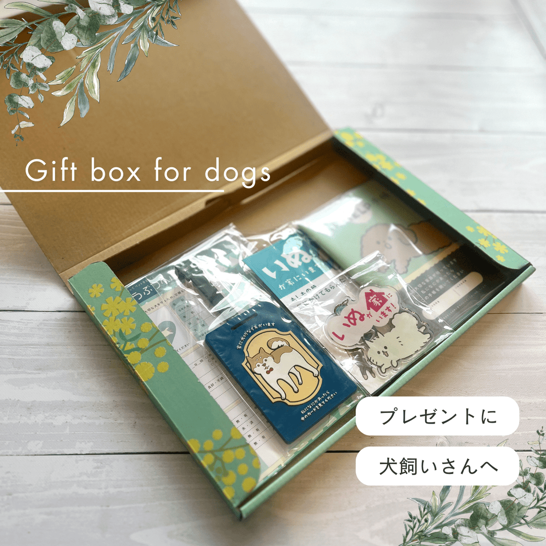 いぬとの暮らし安心BOX|ギフトにもおすすめ!大切な犬のための準備セット - もしもshop Helmo