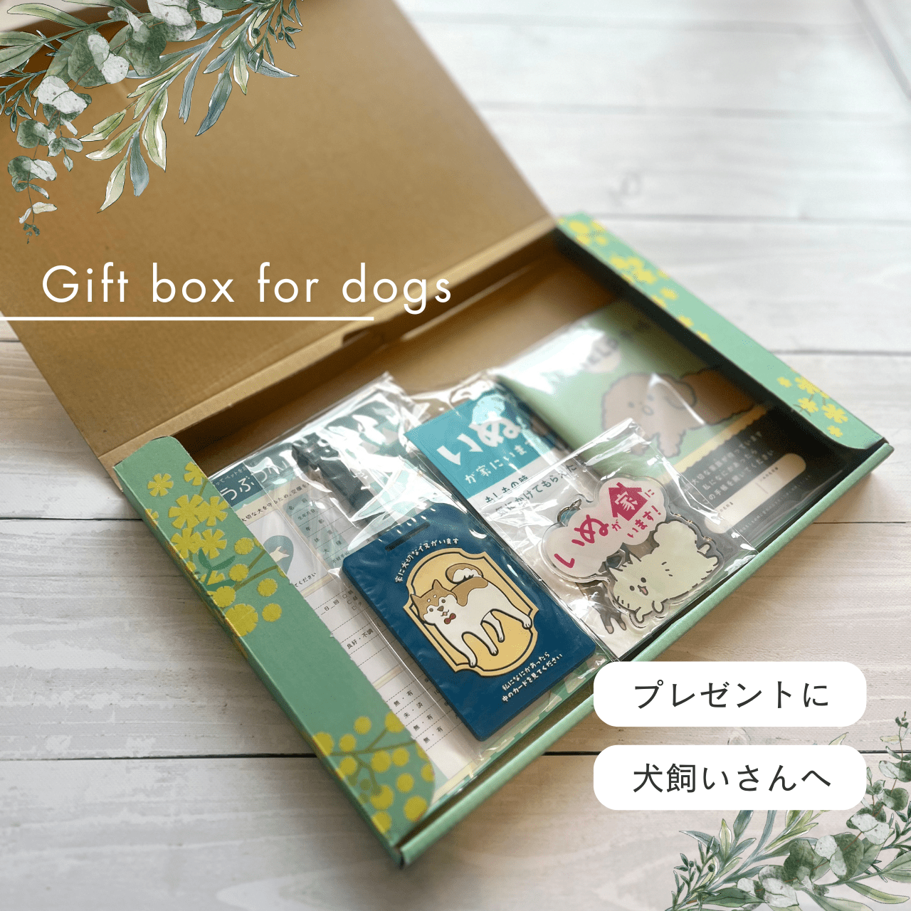 いぬとの暮らし安心BOX|ギフトにもおすすめ!大切な犬のための準備セット - もしもshop Helmo