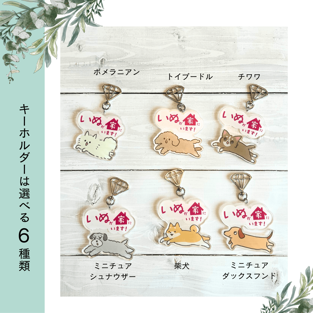 いぬとの暮らし安心BOX|ギフトにもおすすめ!大切な犬のための準備セット - もしもshop Helmo