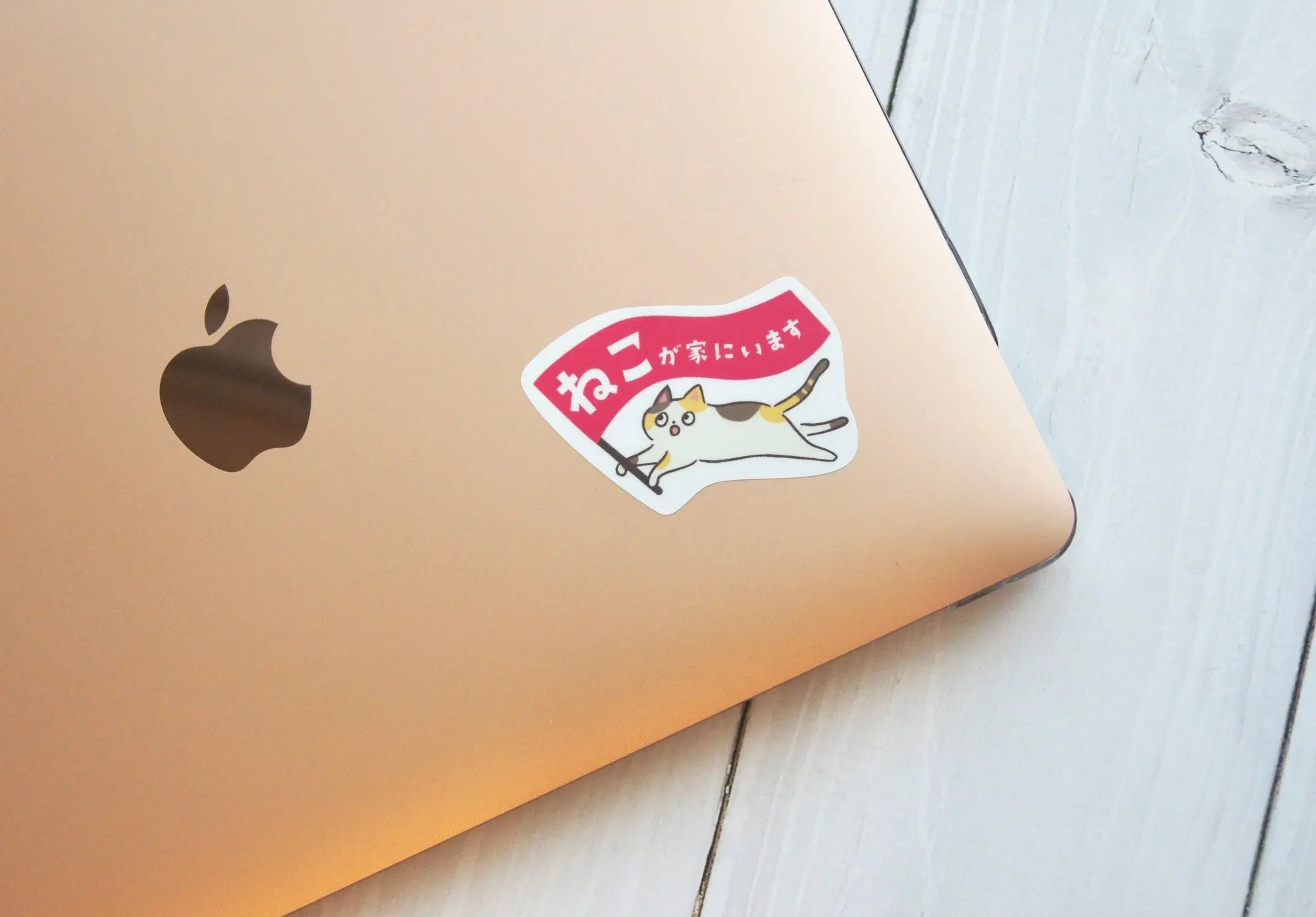 家ねこステッカー(ミニ)|“気づいてほしい”をやさしく添える3枚セット - もしもshop Helmo