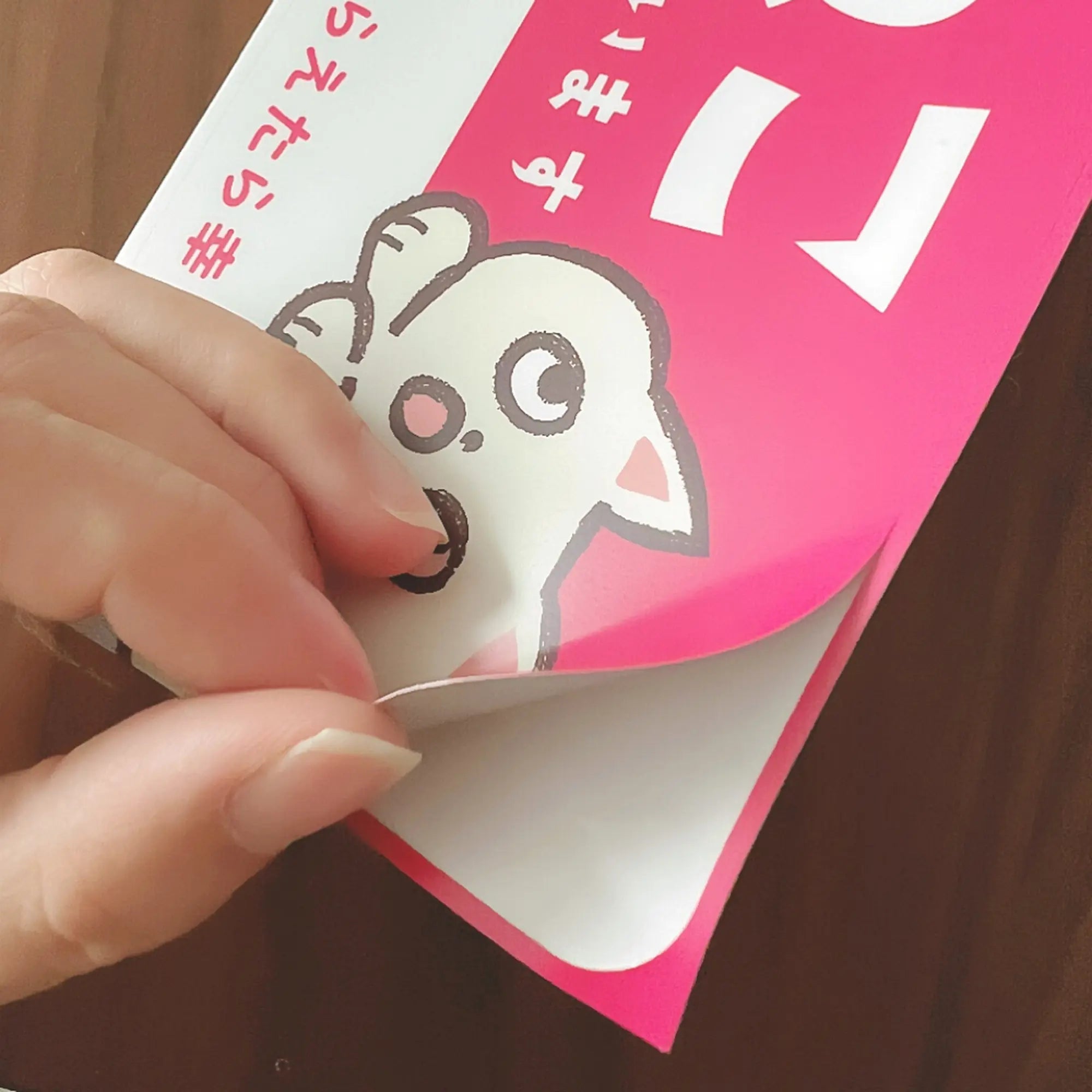 家ねこステッカー(大)|“私のねこが家にいます”を伝える安心ステッカー - もしもshop Helmo