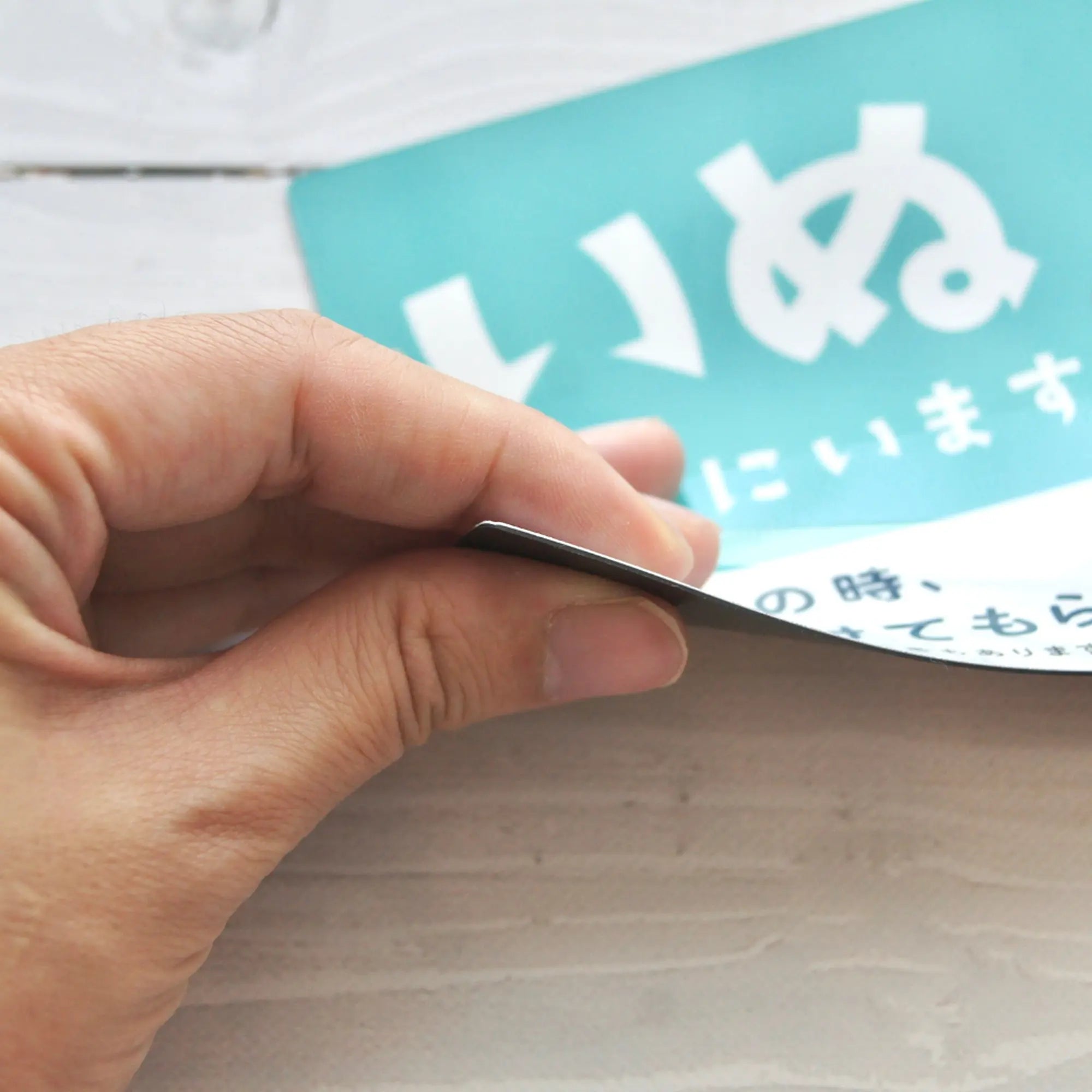 車用マグネット|いぬが家にいます(ペット防災カーサイン) - もしもshop Helmo