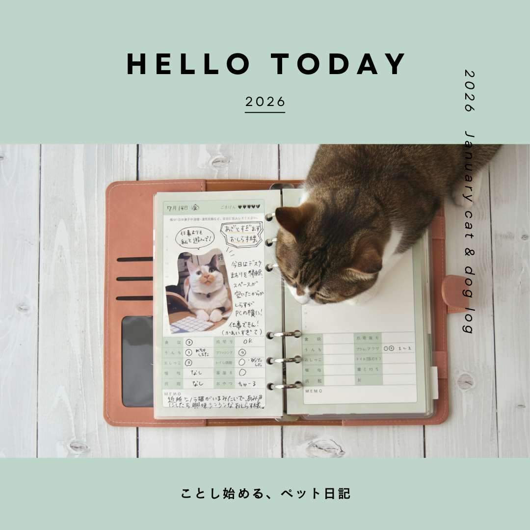 ペット日記のすすめ〜日々の体調チェック〜