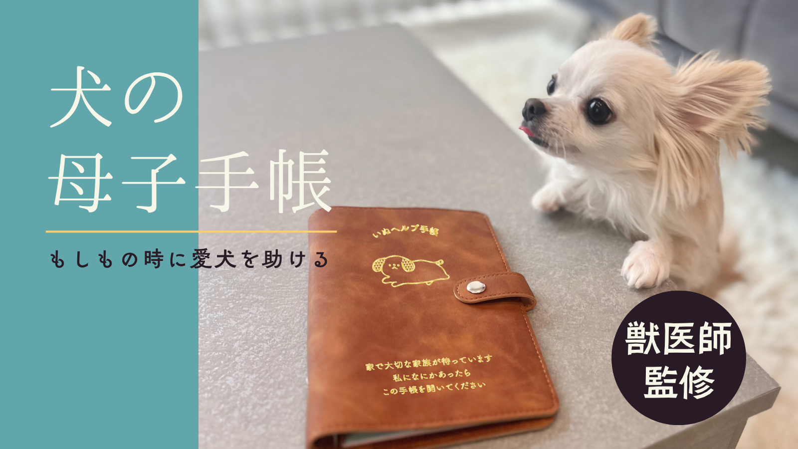 Makuakeにて「バインダー式いぬヘルプ手帳」の先行応援販売が開始しました - もしもshop Helmo