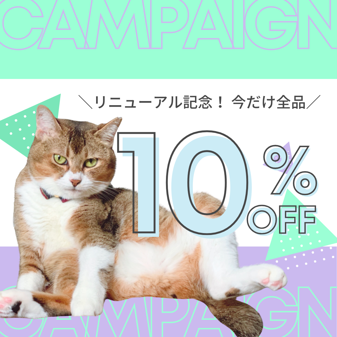 ショップリニューアルと特別割引キャンペーンのお知らせ