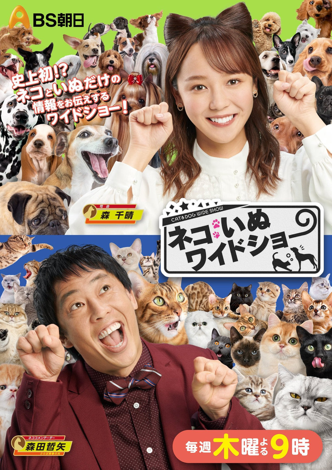 BS朝日「ネコいぬワイドショー」にて紹介していただきました - もしもshop Helmo