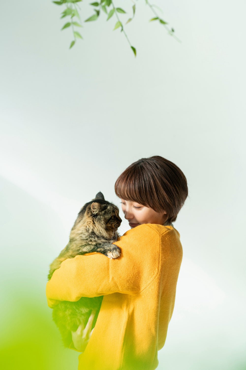 ねこヘルプ手帳がリニューアルしてページ数が増加します - もしもshop Helmo