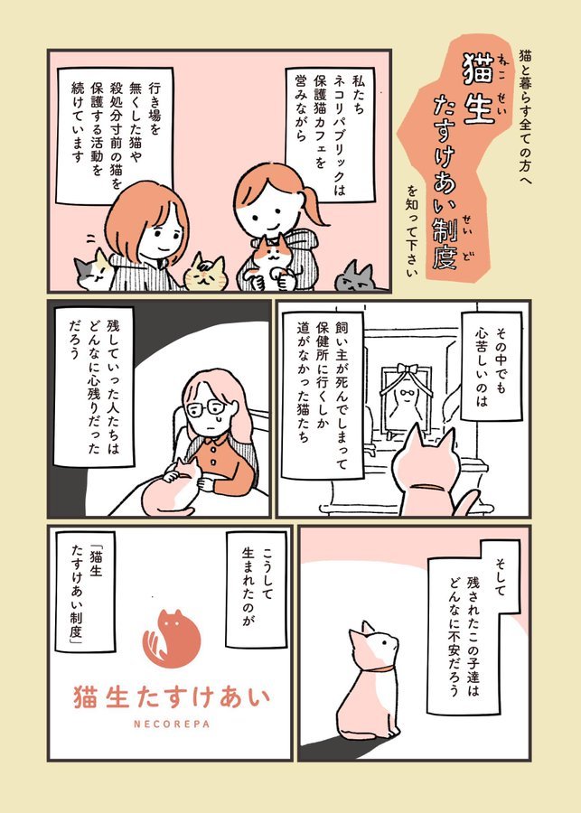 ネコリパブリック「安心ねこ生活　猫生たすけあい制度」とコラボさせていただきました - もしもshop Helmo