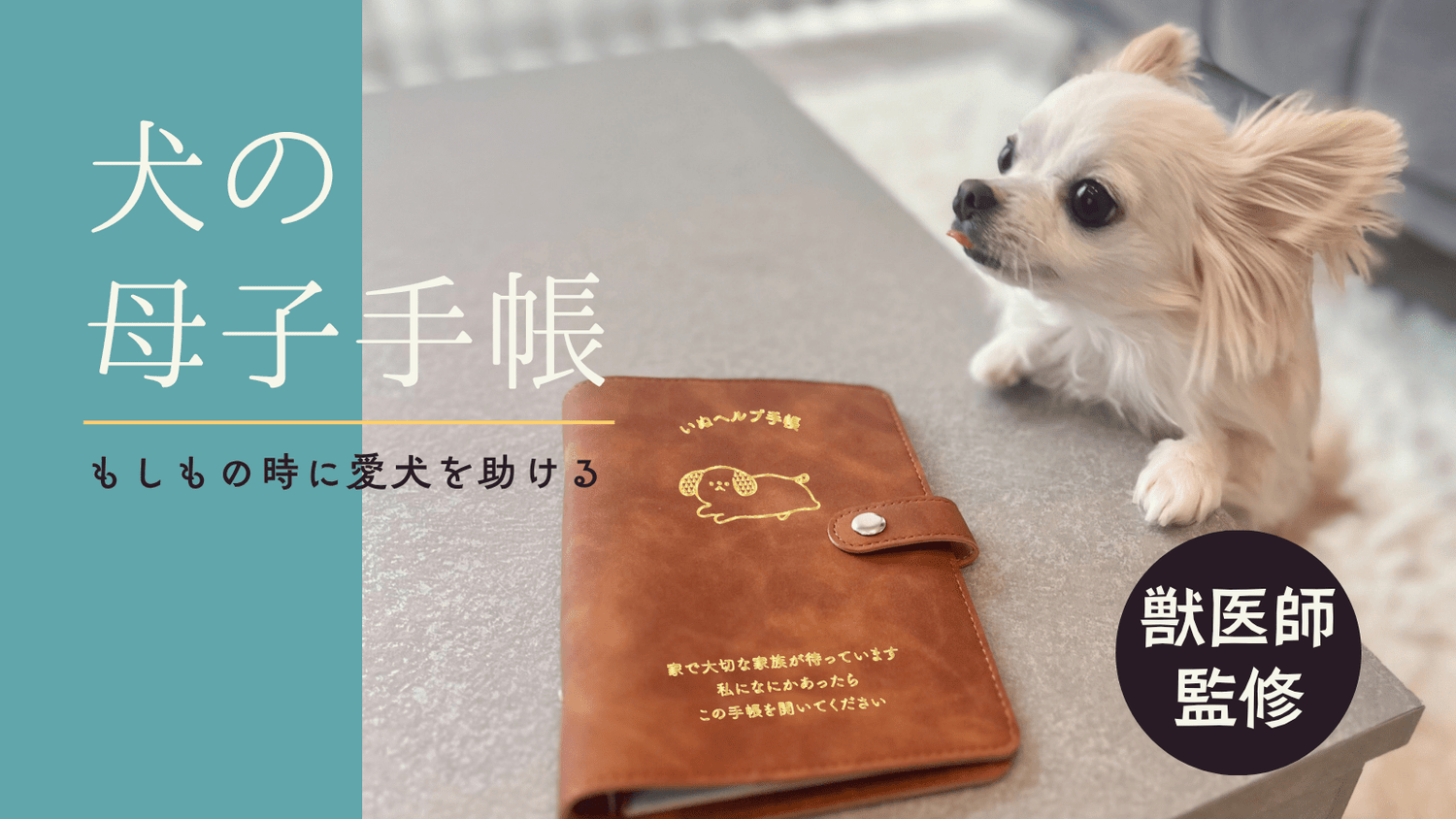 Makuakeにて「バインダー式いぬヘルプ手帳」の先行応援販売が開始しました - もしもshop Helmo