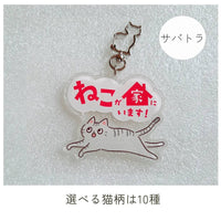 【全10種】家ねこキーホルダー | 連絡先が書ける SOSキーホルダー | 迷子・緊急時に愛猫を守るお守りグッズ - もしもshop Helmo