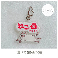 【全10種】家ねこキーホルダー | 連絡先が書ける SOSキーホルダー | 迷子・緊急時に愛猫を守るお守りグッズ - もしもshop Helmo