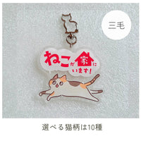 【全10種】家ねこキーホルダー | 連絡先が書ける SOSキーホルダー | 迷子・緊急時に愛猫を守るお守りグッズ - もしもshop Helmo