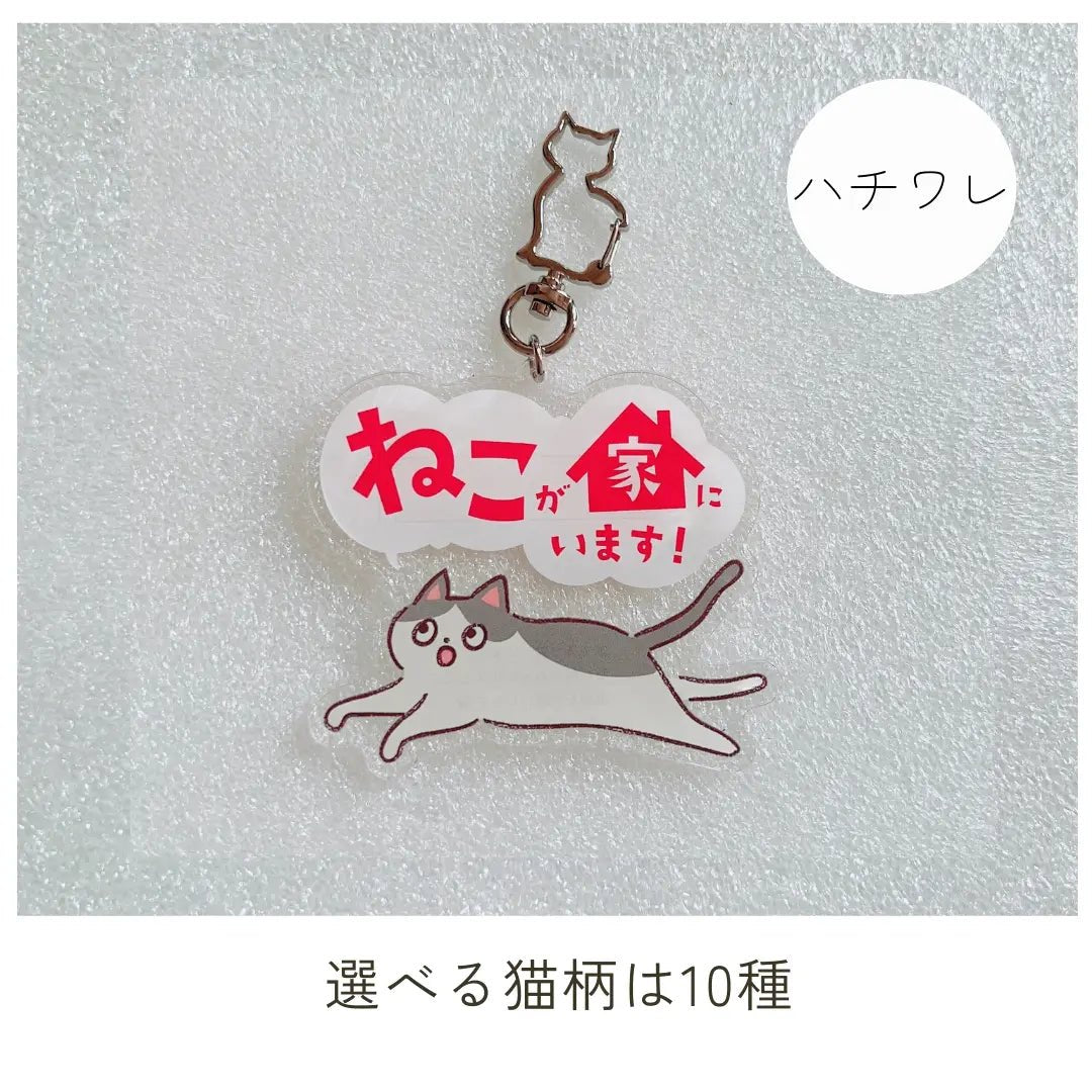 【全10種】家ねこキーホルダー | 連絡先が書ける SOSキーホルダー | 迷子・緊急時に愛猫を守るお守りグッズ - もしもshop Helmo