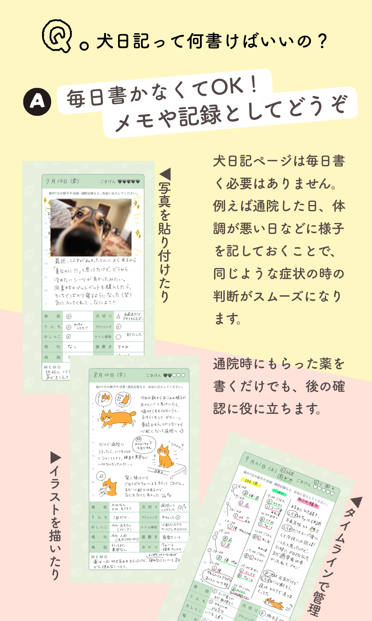 【車用マグネットセット】いぬヘルプ手帳(バインダー式)｜犬の通院・体調管理が一冊で｜犬の健康管理手帳