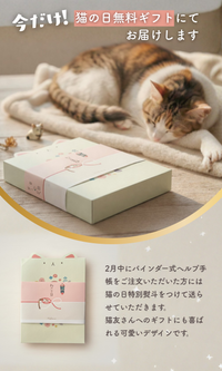 【キーホルダーセット】ねこヘルプ手帳(バインダー式)｜猫の通院・体調管理が一冊で｜猫の健康管理手帳