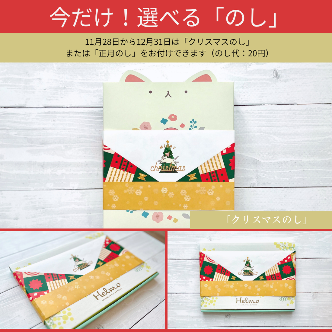 ねこヘルプ手帳:水色(バインダー式)｜猫の通院・体調管理が一冊で｜猫の健康管理手帳 もしもshop Helmo