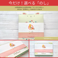 いぬヘルプ手帳:ブラウン(バインダー式)｜愛犬の通院・体調管理が一冊で｜犬の健康管理手帳