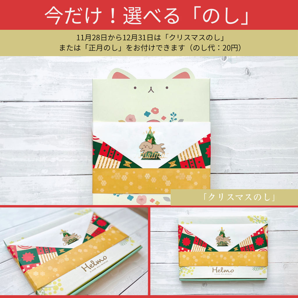 いぬヘルプ手帳:ネイビー(バインダー式)｜愛犬の通院・体調管理が一冊で｜犬の健康管理手帳