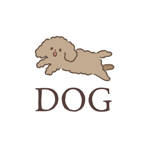 バインダー式