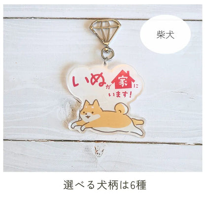 【全6種】家いぬキーホルダー | 連絡先が書ける SOSキーホルダー | 迷子・緊急時に愛犬を守るお守りグッズ - もしもshop Helmo