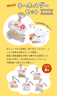 【キーホルダーセット】いぬヘルプ手帳(バインダー式)｜犬の通院・体調管理が一冊で｜犬の健康管理手帳