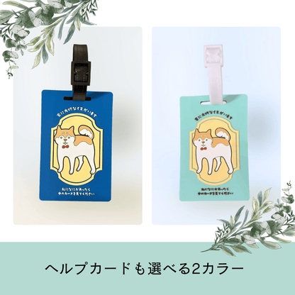 いぬとの暮らし安心BOX｜ギフトにもおすすめ！大切な犬のための準備セット - もしもshop Helmo