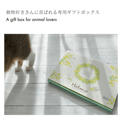 いぬとの暮らし安心BOX｜ギフトにもおすすめ！大切な犬のための準備セット - もしもshop Helmo