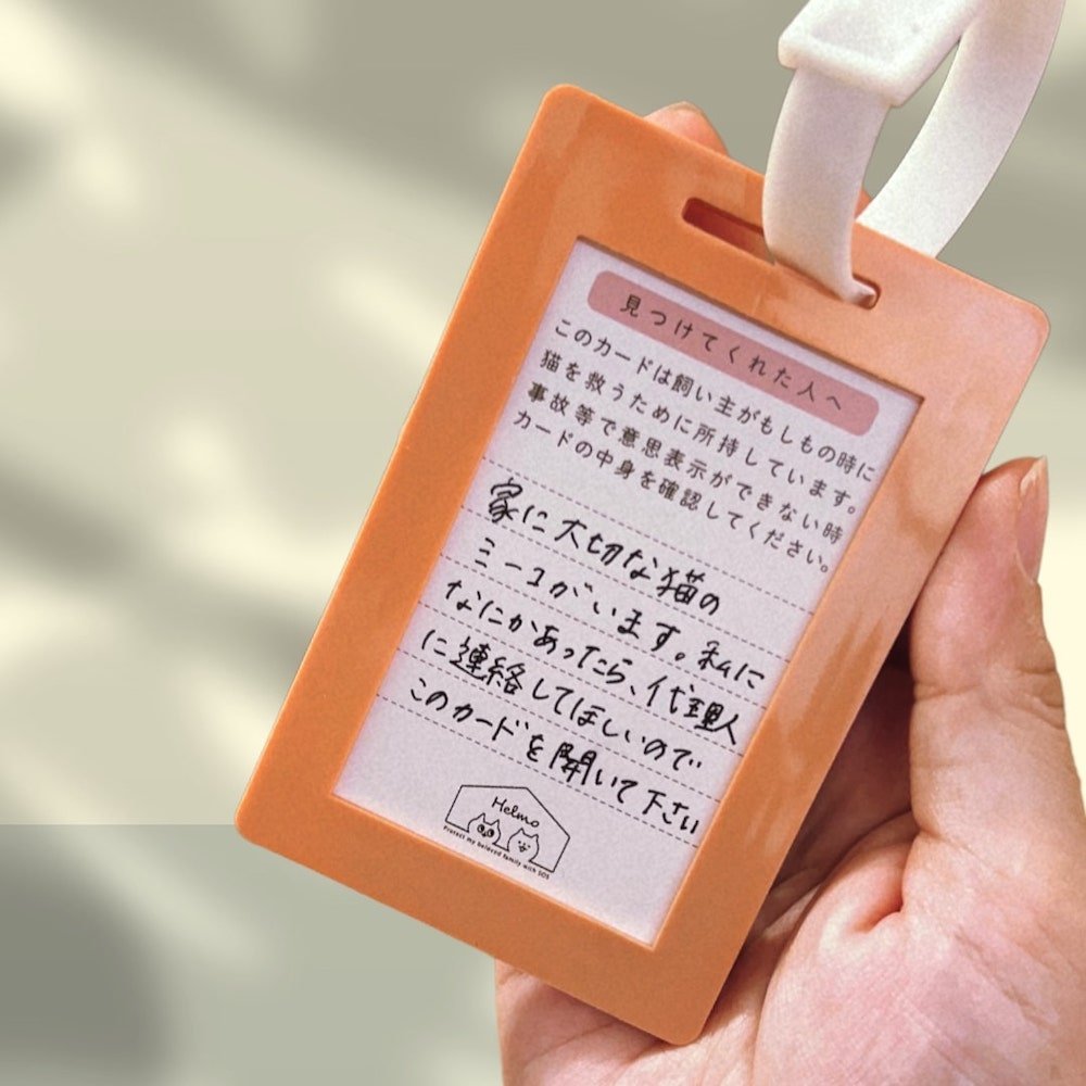 ねことの暮らし安心BOX｜ギフトにもおすすめ！大切な猫のための準備セット - もしもshop Helmo