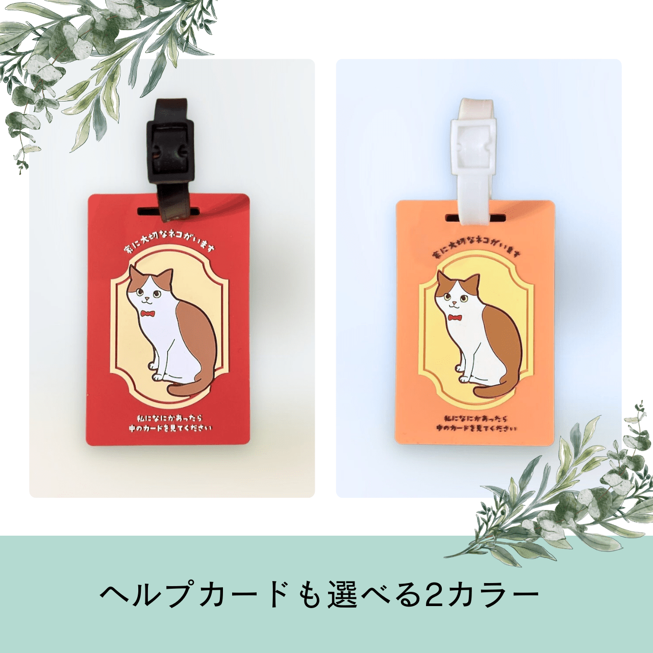 ねことの暮らし安心BOX｜ギフトにもおすすめ！大切な猫のための準備セット - もしもshop Helmo