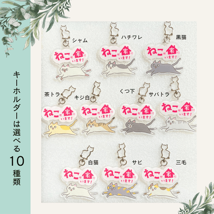 ねことの暮らし安心BOX｜ギフトにもおすすめ！大切な猫のための準備セット - もしもshop Helmo