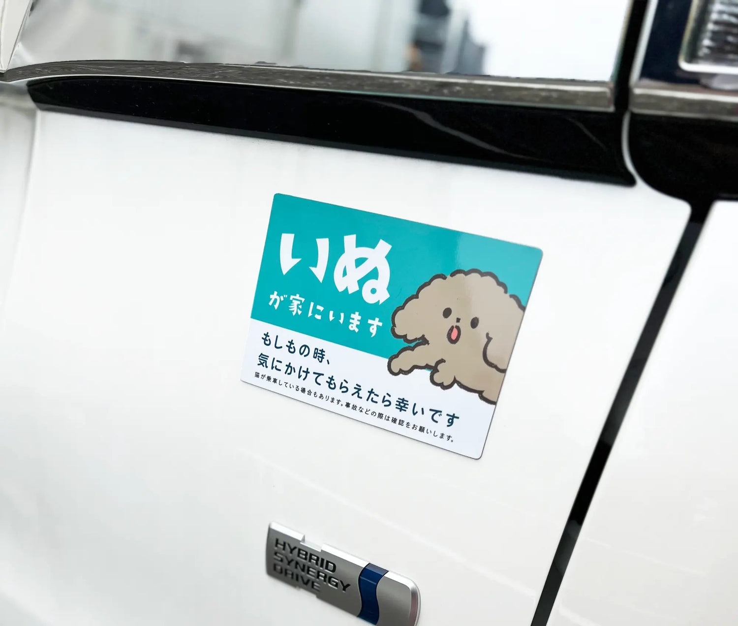 車用マグネット｜いぬが家にいます（ペット防災カーサイン） - もしもshop Helmo