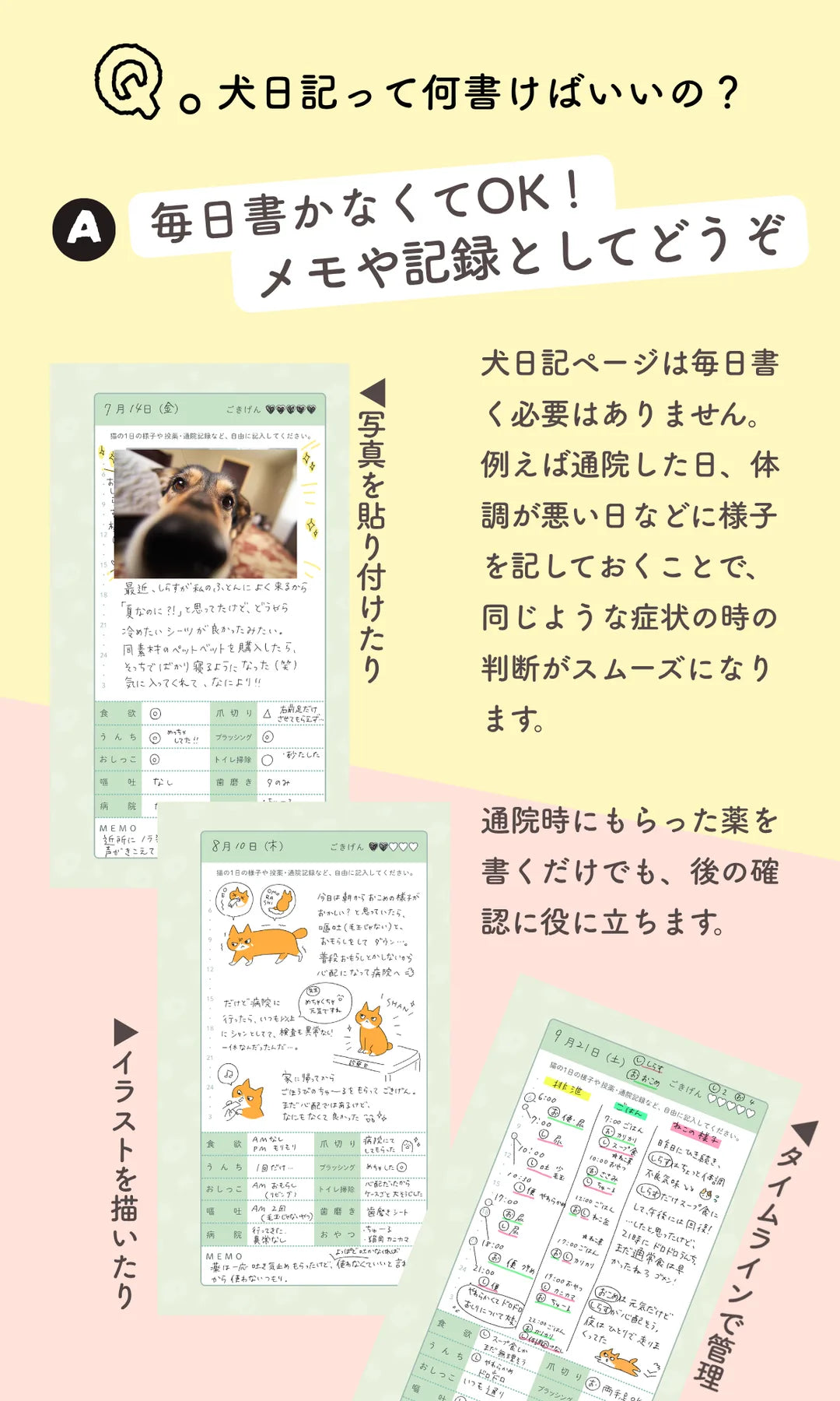 いぬヘルプ手帳の紹介 11