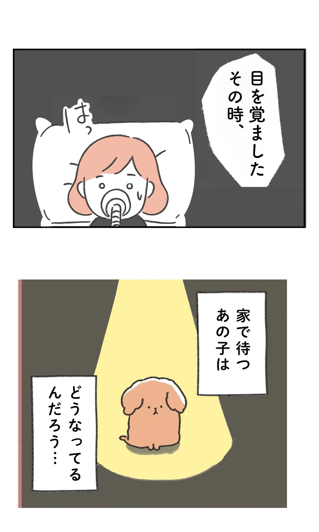 いぬヘルプ手帳の紹介 4