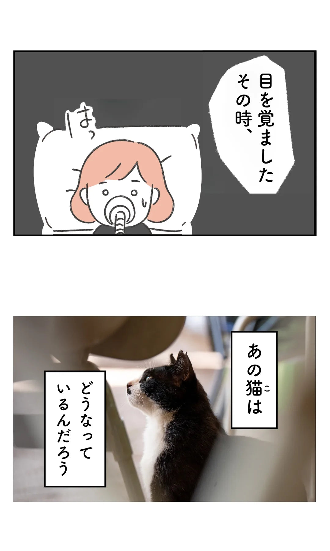 ねこヘルプ手帳の紹介 4